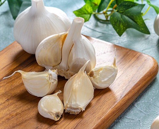 Garlic