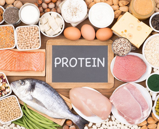 Protein